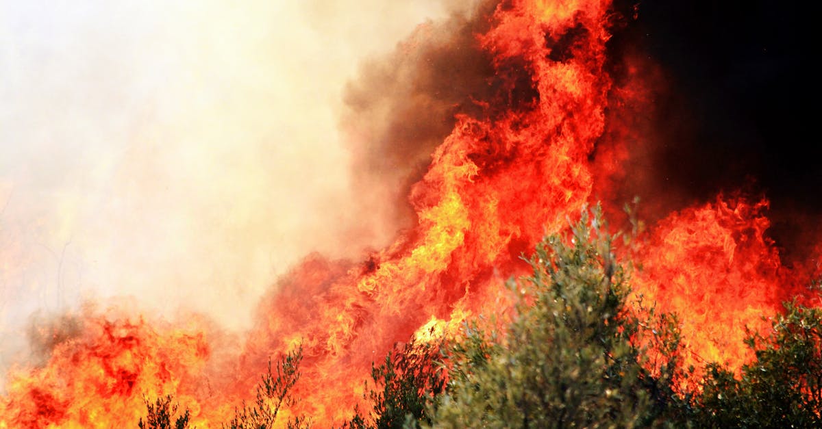 California Wildfire Triggers Mass Evacuations