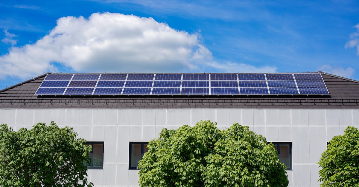 Plug-in Solar Panels Hit Supermarkets