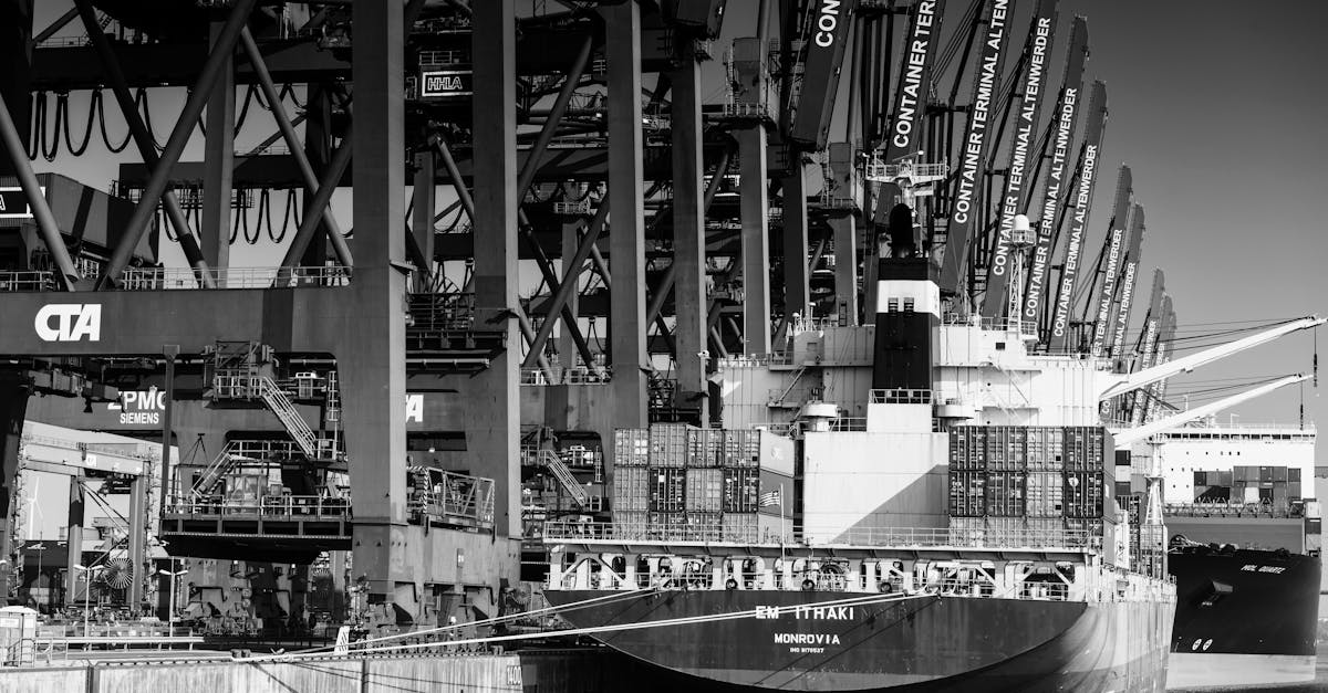 Shadowy Middlemen Fueling Untamed Trade