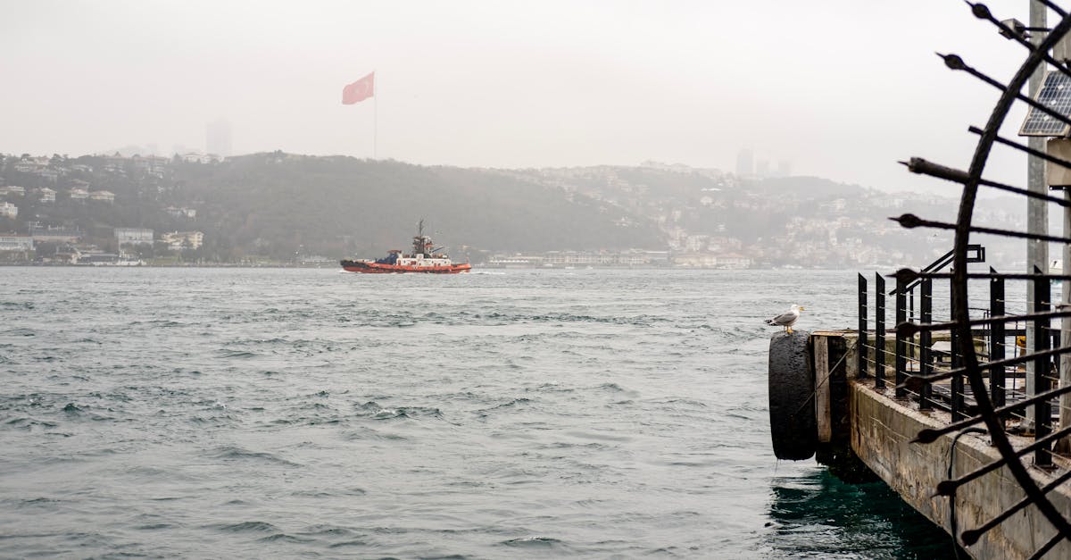 Trump's Hormuz Warning