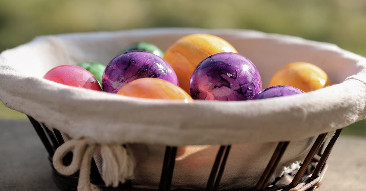 Trump's White House Easter Egg Roll