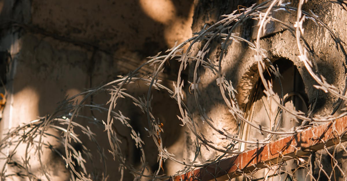 Iran's Two-Week Ceasefire