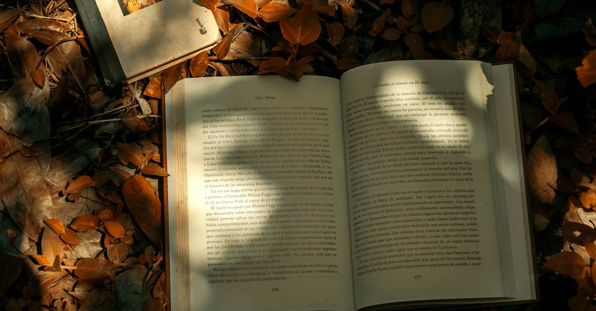 Poetry Collections Explore Nature, Trauma, and Language