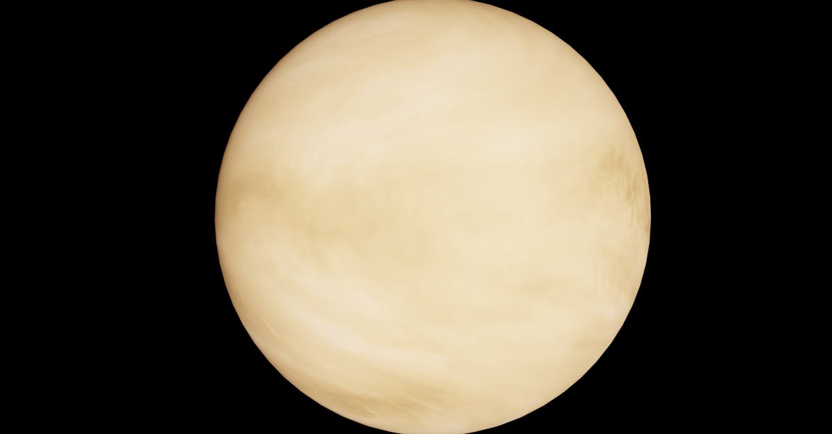 Venus Shines Bright in 2026